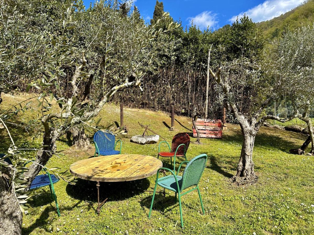 La Sosta In Toscana Camaiore Dış mekan fotoğraf
